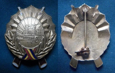 identificare insigna.jpg