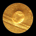 4 ducati 1902 mm.jpg