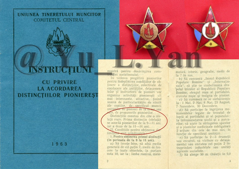 stelute - regulament.jpg