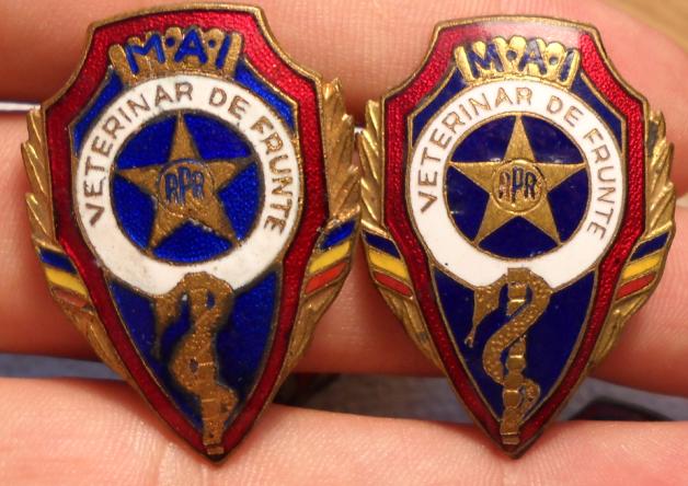 veterinar de frunte variante de culoare.JPG