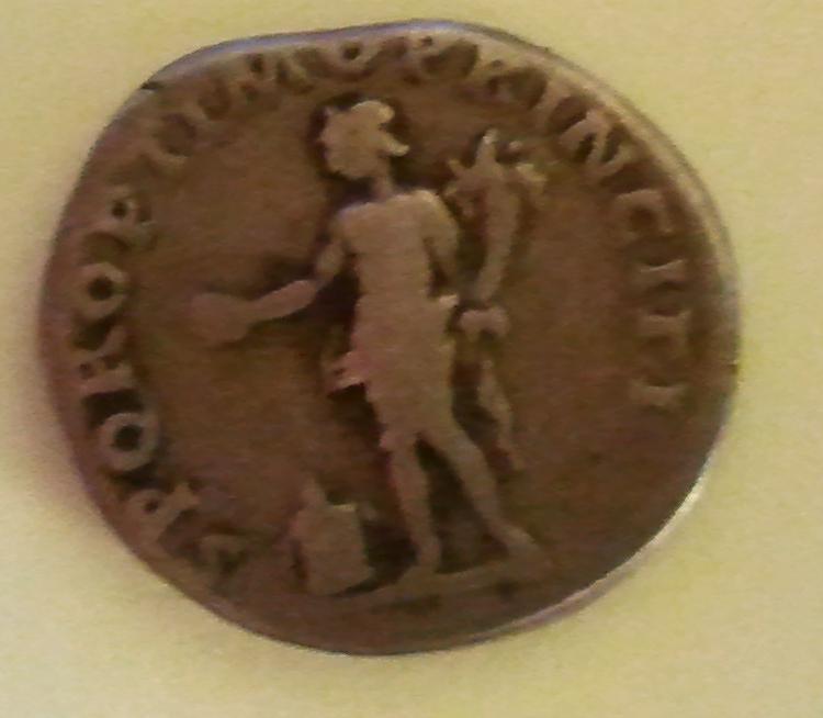 2011-09-05 13.33.50.jpg