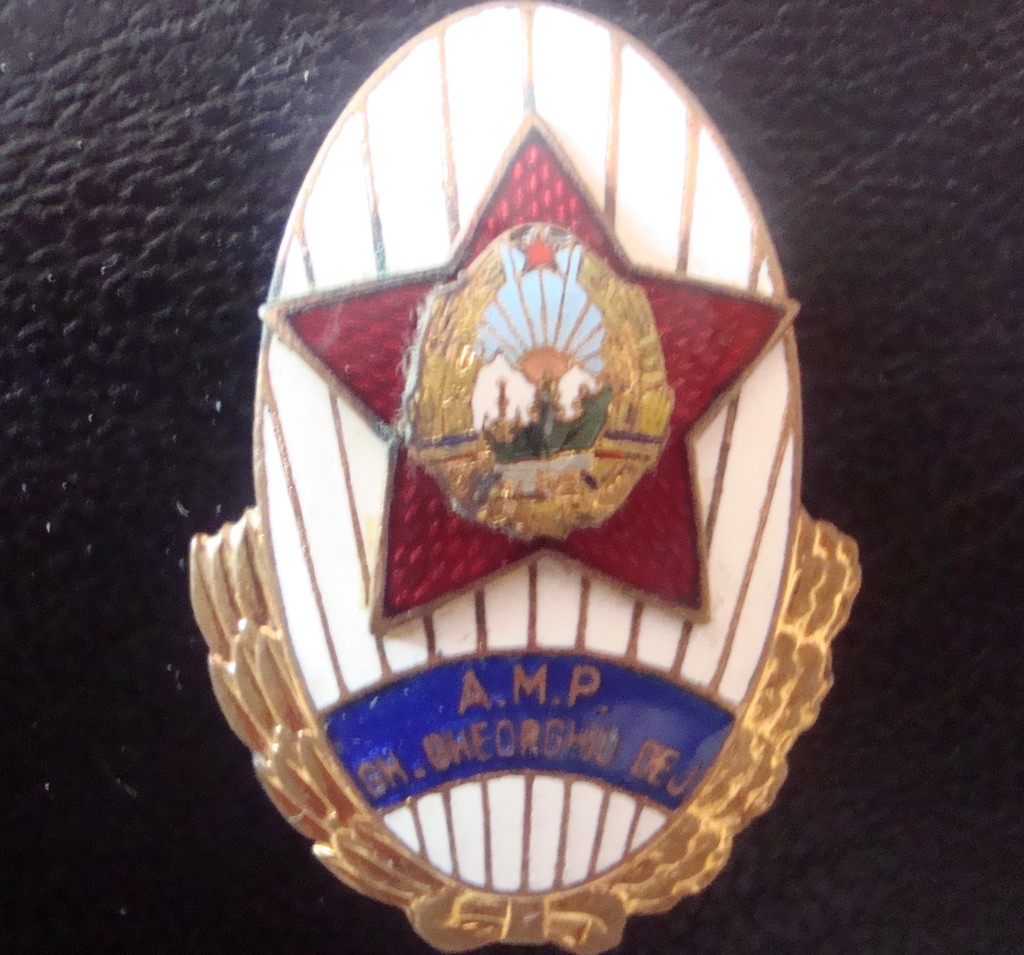 insigna academia politica.jpg