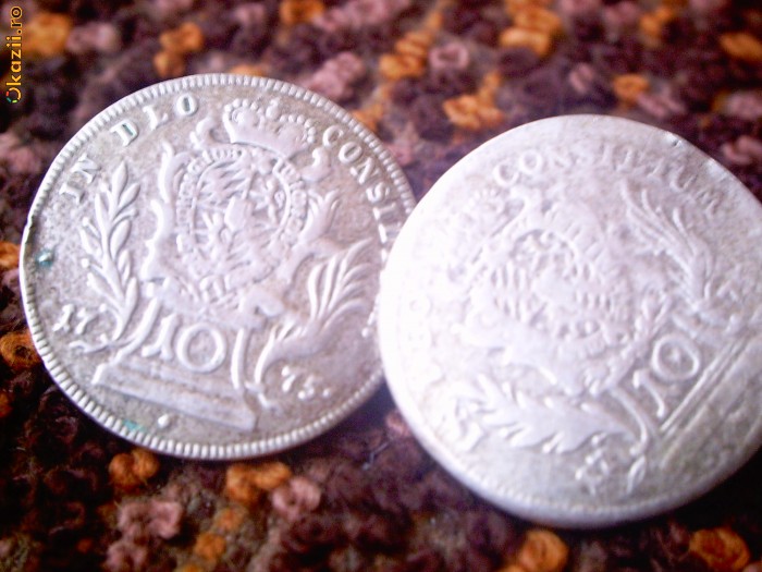 nasturi argin av.jpg