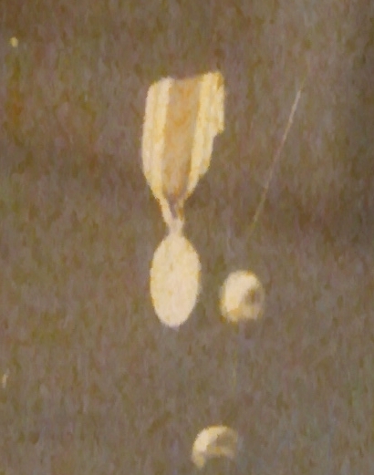 2012-02-18 23.01.041.jpg