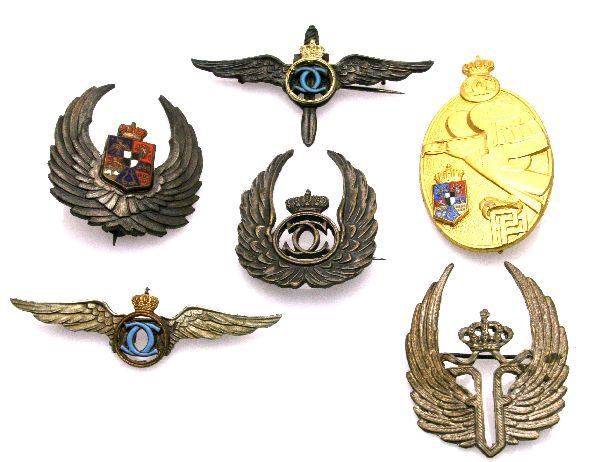 insigne aviatie 11.jpg