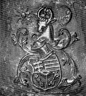 Stema Sf. Ştefan cel Mare.jpg