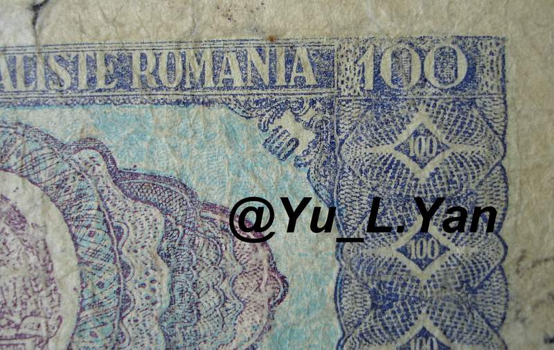 DSC00002 [800x600].JPG