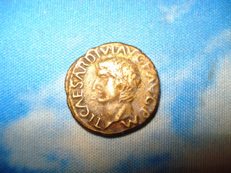 DSC02089 [1600x1200].jpg