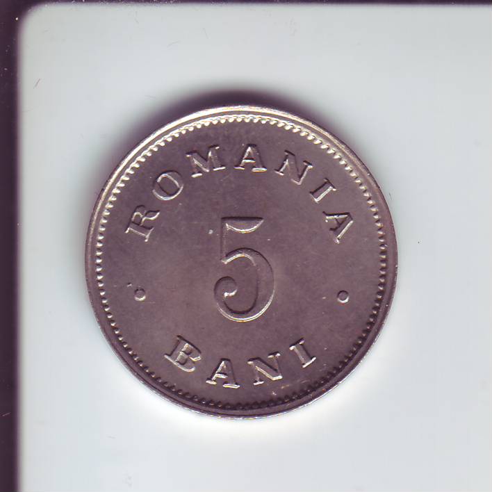 5 Bani 1900 f.JPG