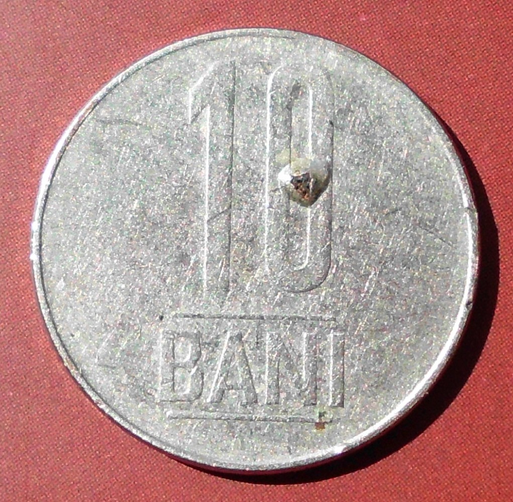 10 bani.jpg