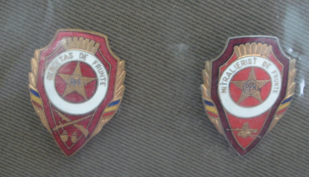 Cercetas de frunte.jpg