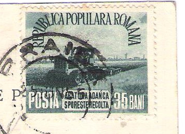 foto 13 001 - Copie.jpg