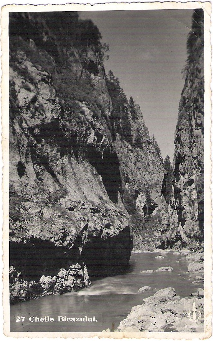 foto 40 001 - Copie - Copie.jpg