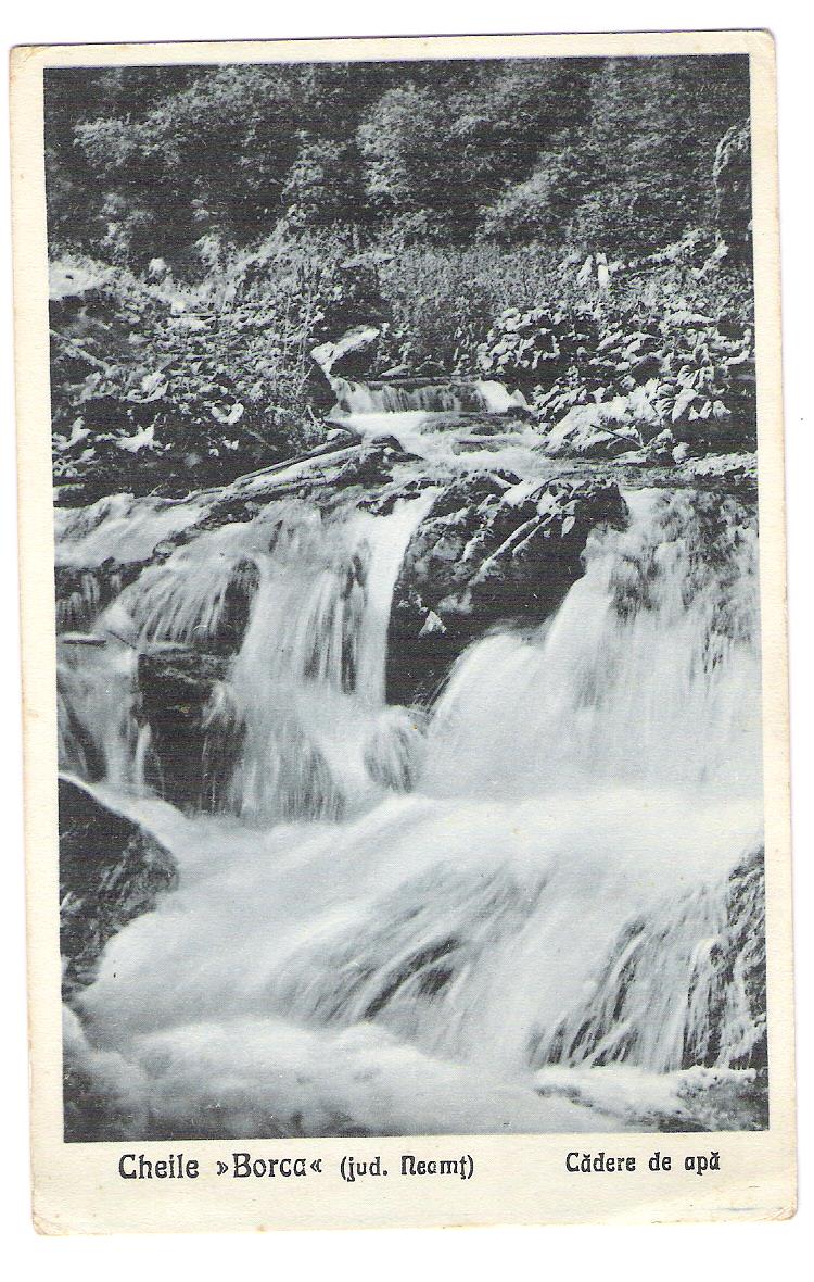 foto 47 001 - Copie.jpg