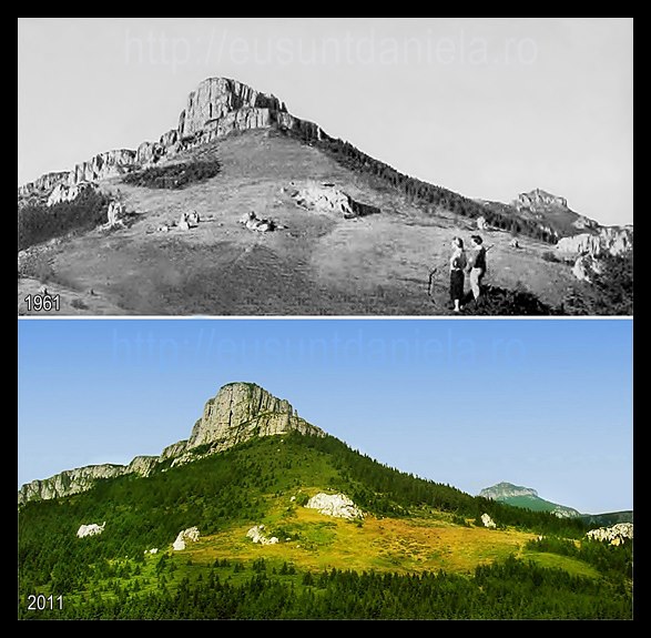 Terasa Inferioara.jpg