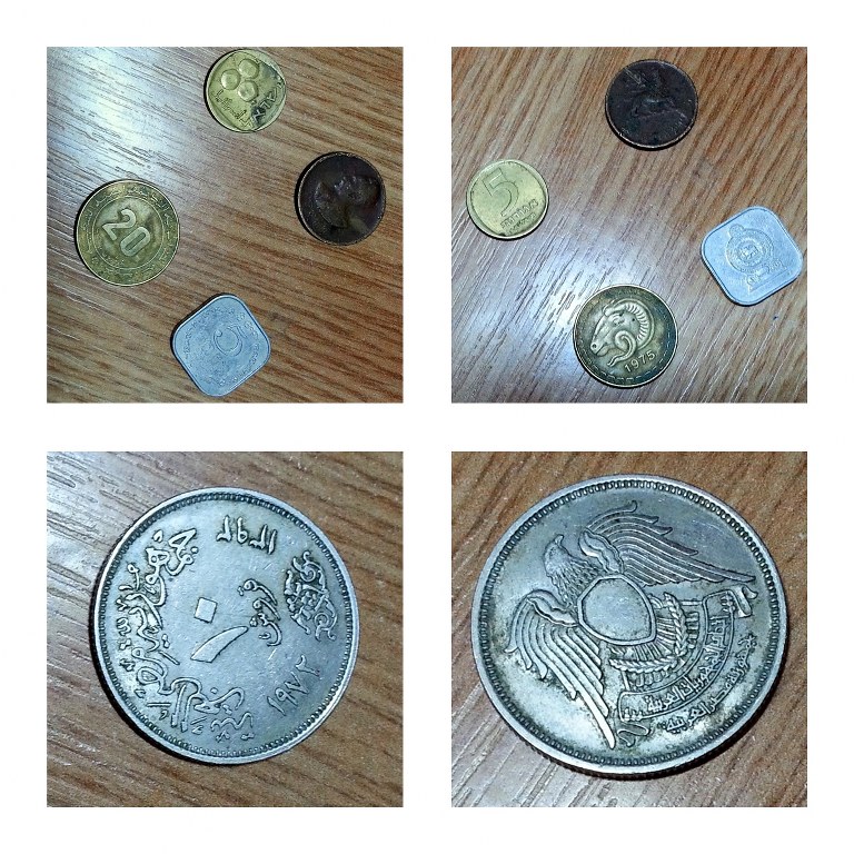 bani nec_768x768.jpg