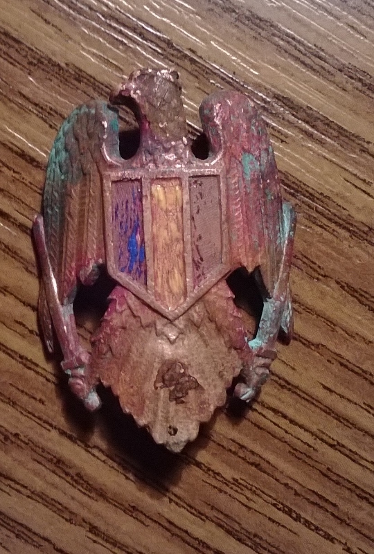 WP_20140103_009 (540x800).jpg