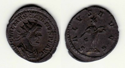 maximinianus