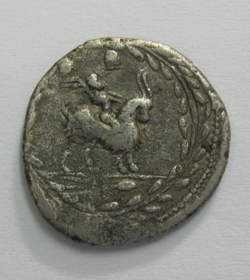 serstet FONTEIUS rv.jpg