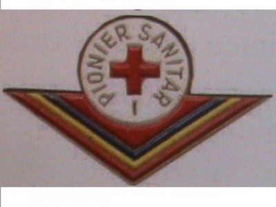 Foto 2 - varianta din alama vopsita