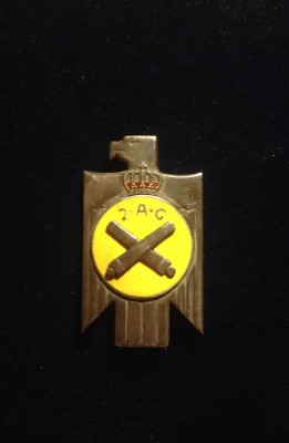 Insigna Reg. 2 Art. Grea.JPG