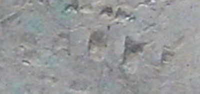 DSCF5314 - Copie.JPG