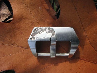 elvetia coinbuckle.jpg