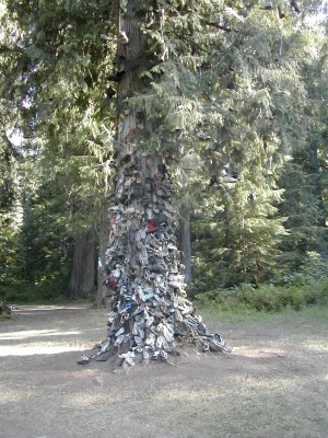shoetreefar.jpg