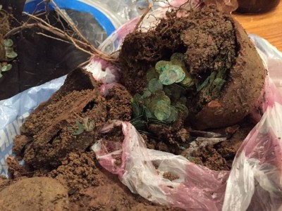 3 mai multa receptie.jpg