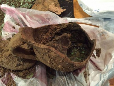 5 din ce in ce mai multa receptie.jpg