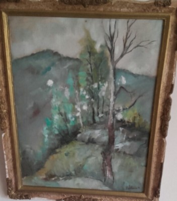 2017-01-12 15.27.29.jpg