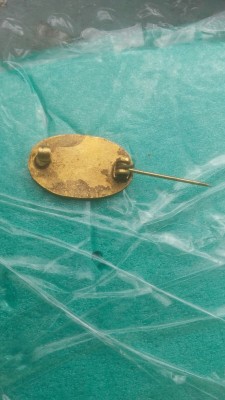 WhatsApp Image 2017-07-25 at 14.57.48.jpeg