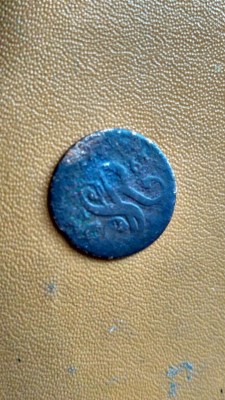 neidentificata 2.jpg