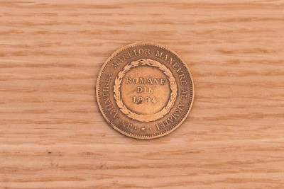 marile manevre ale armatei romane 1894 1.jpg