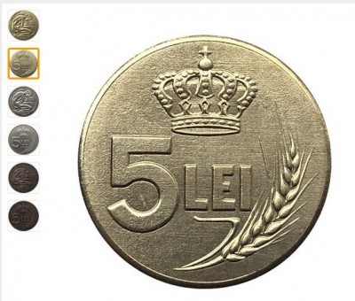 5 lei.jpg