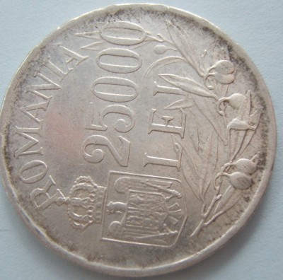 DSCF6591 - Copie.JPG