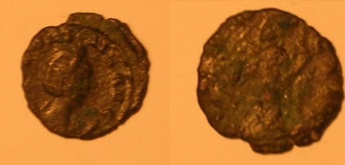 salonina; probabil concordia avg