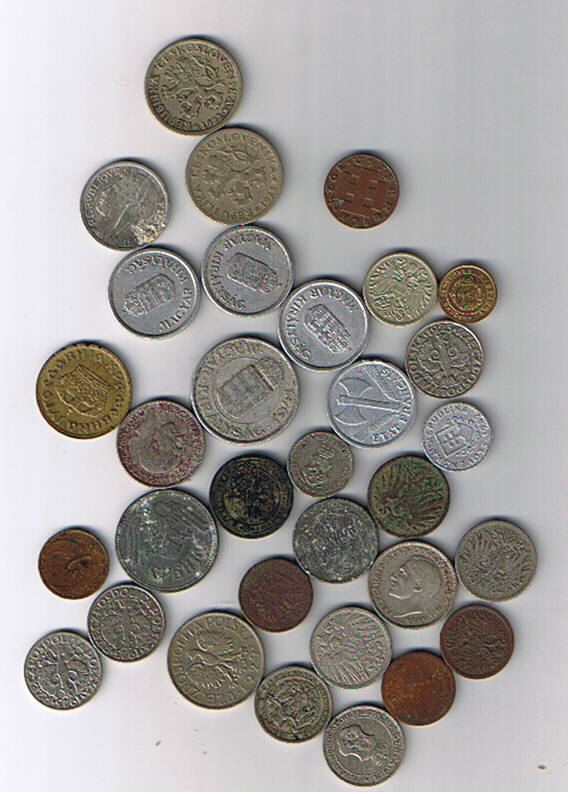 15 ianuarie 2009 (19).jpg