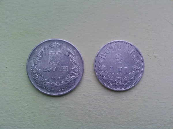 Kryss-foto-0156 (600 x 450).jpg