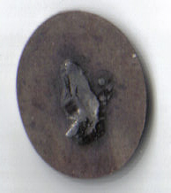 doamna despina verso.jpg