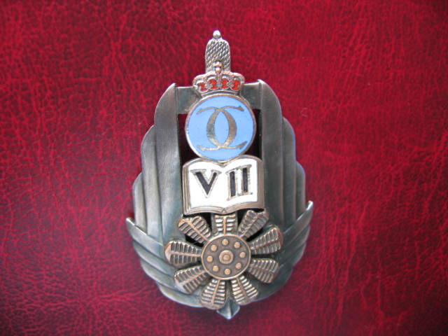 Insigna Scoala Medias_7ani2.jpg