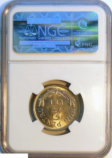 1924l2ngc1a.jpg