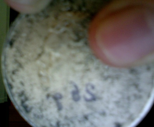 100000-on the go.jpg