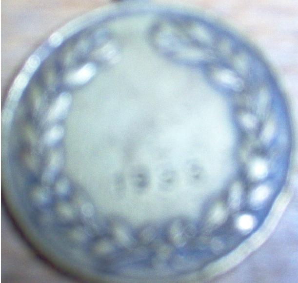 Medalie 1933.JPG