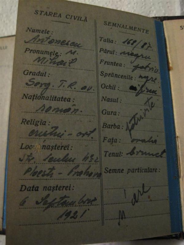 IMG_0052 (Medium).JPG