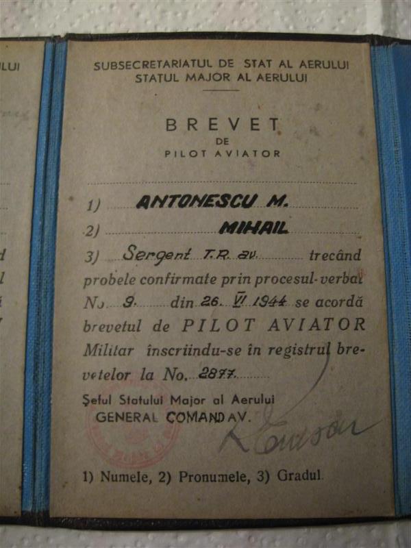 IMG_0050 (Medium).JPG