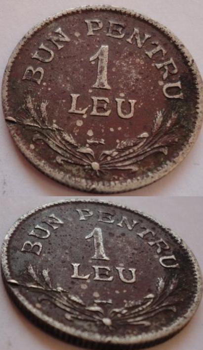 1 leu.JPG