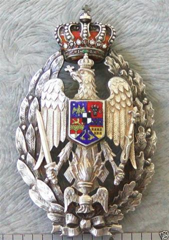 Insigna Academie var.ambutisare.jpg