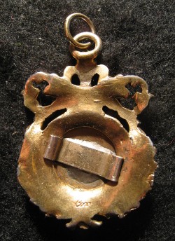 Medalie PRIN NOI INSINE rv.JPG