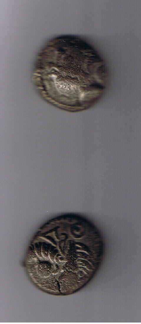 5 februarie 2008 (3).jpg